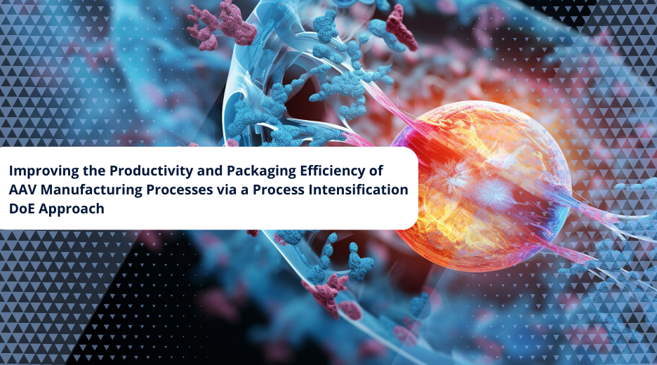 Improving the Productivity and Packaging Efficiency of AAV Manufacturing Processes via a Process Intensification DoE Approach